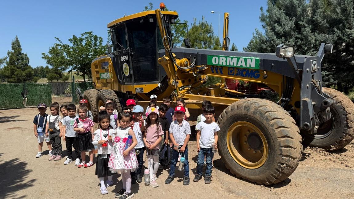 Orman Müdürlüğünü Ziyaret Ettik